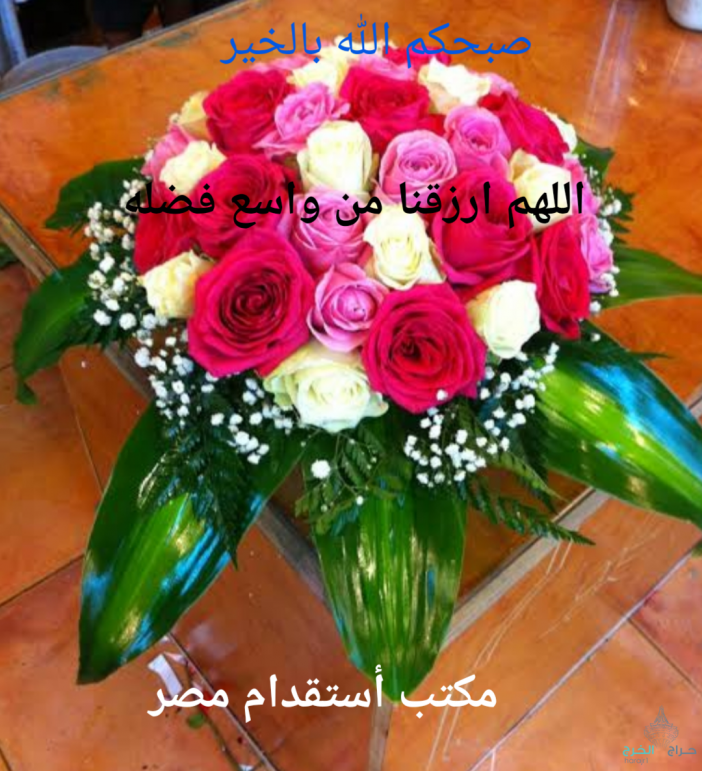 أستقدام سائقين من مصر