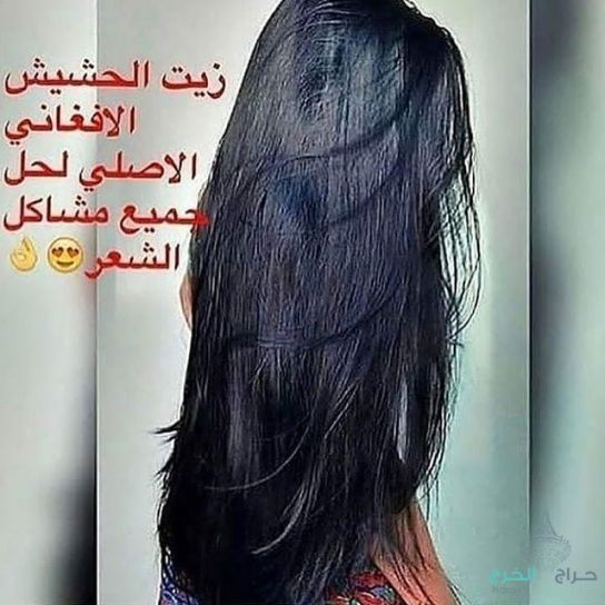 زيت الحشيش الأفغاني الاصلي 100%للتساقط وانبات فراغات وطالة الشعر منتج مضمون ومجرب