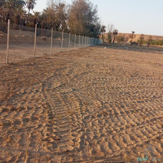 مقاول شبوك 0500141664