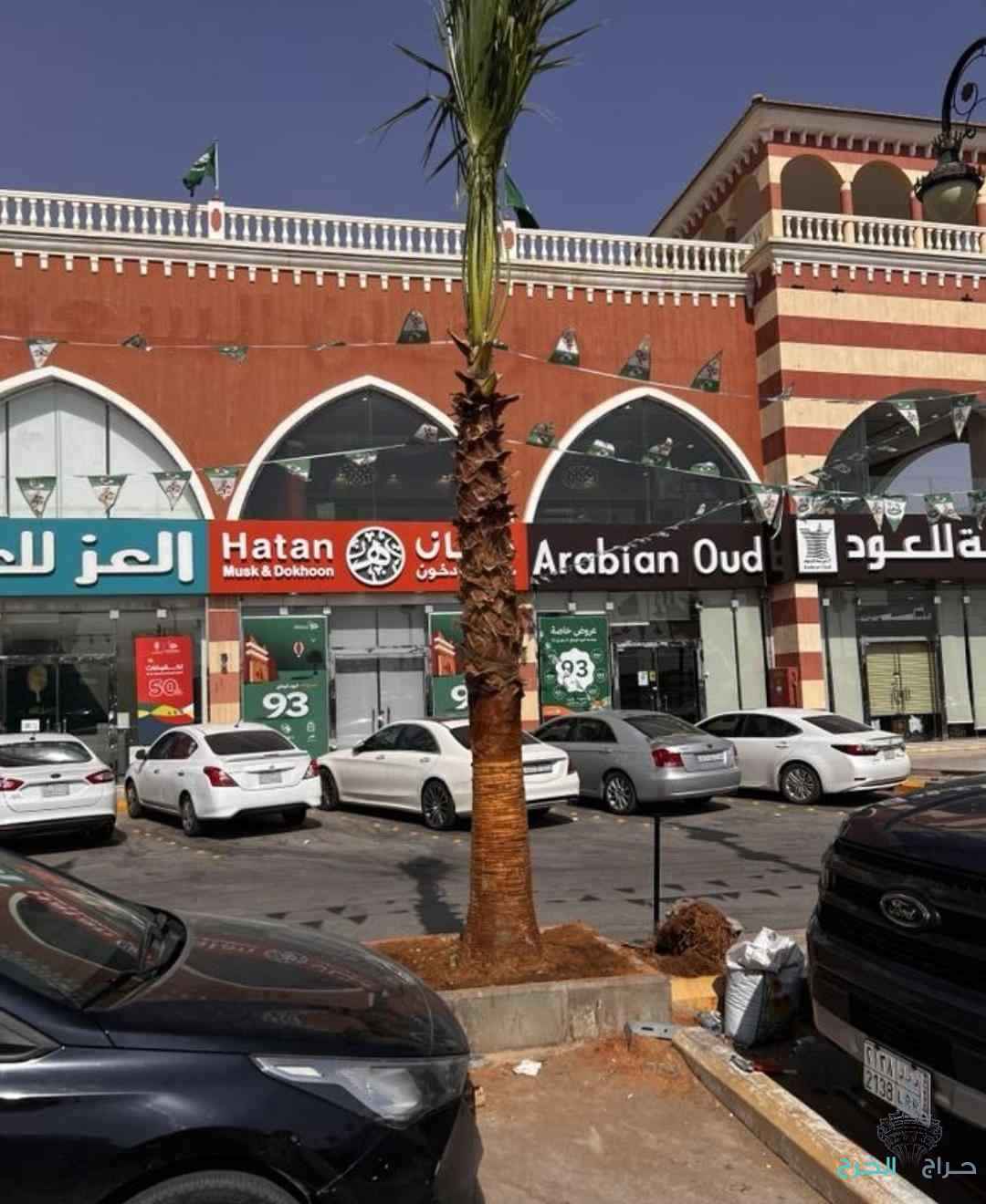 بيع وتوريد وزراعة النخيل بجميع الأنواع والمقاسات 