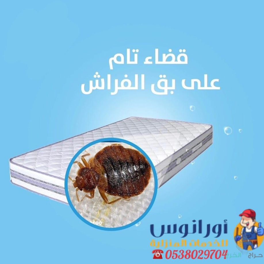 شركة مكافحة حشرات بالخرج