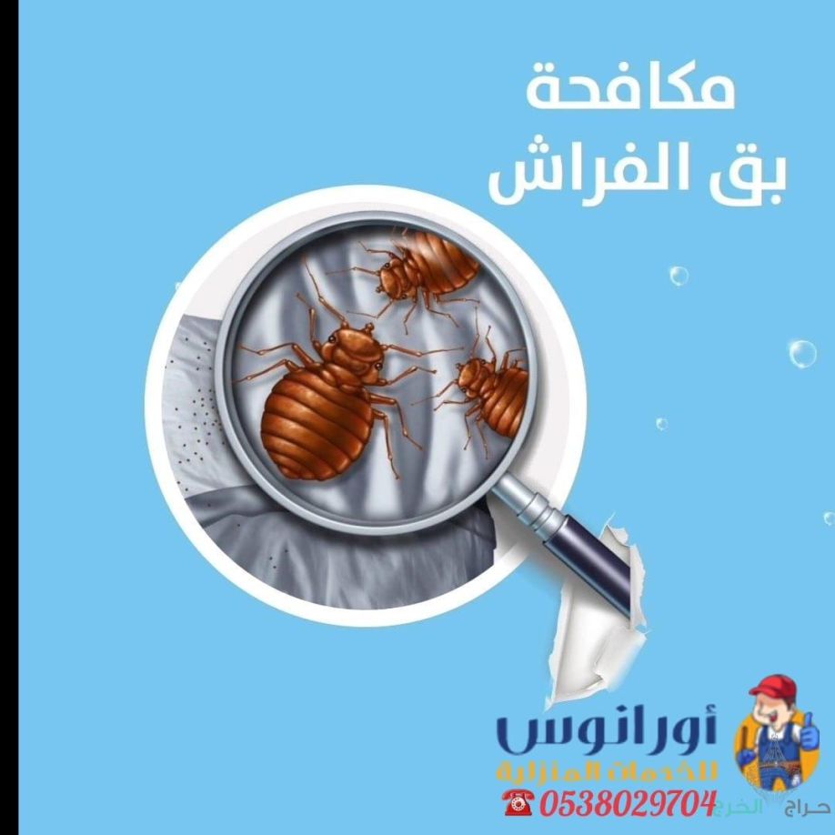 شركة مكافحة حشرات بالخرج