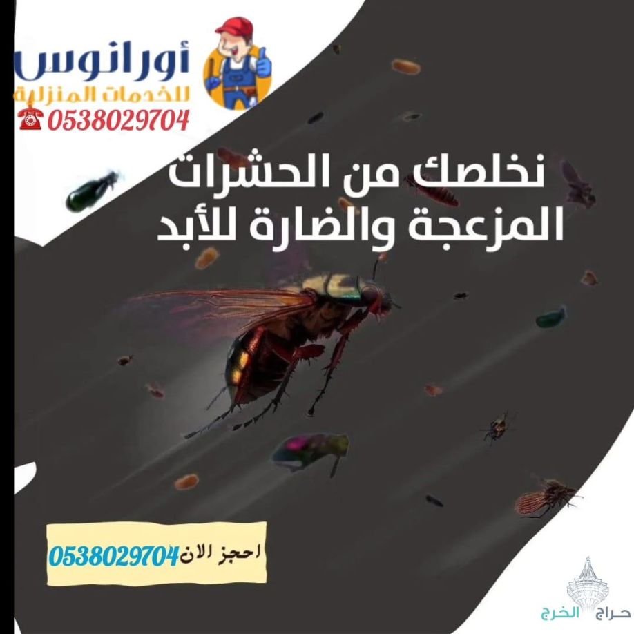 شركة مكافحة حشرات بالخرج