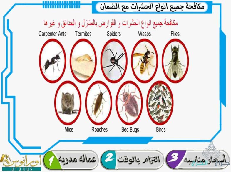 شركة تنظيف بالخرج تنظيف منازل تنظيف مجالس تنظيف خزانات بالخرج