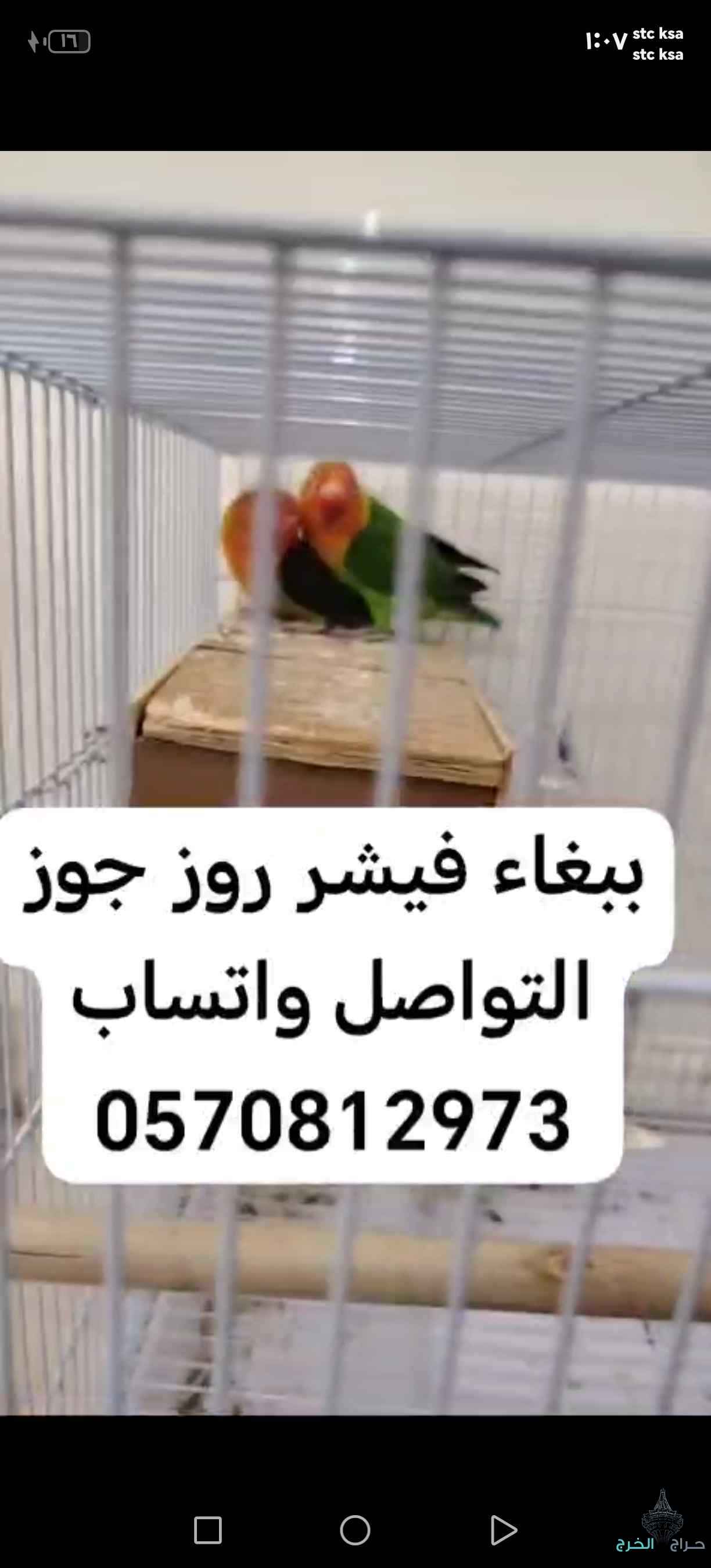 الخرج 