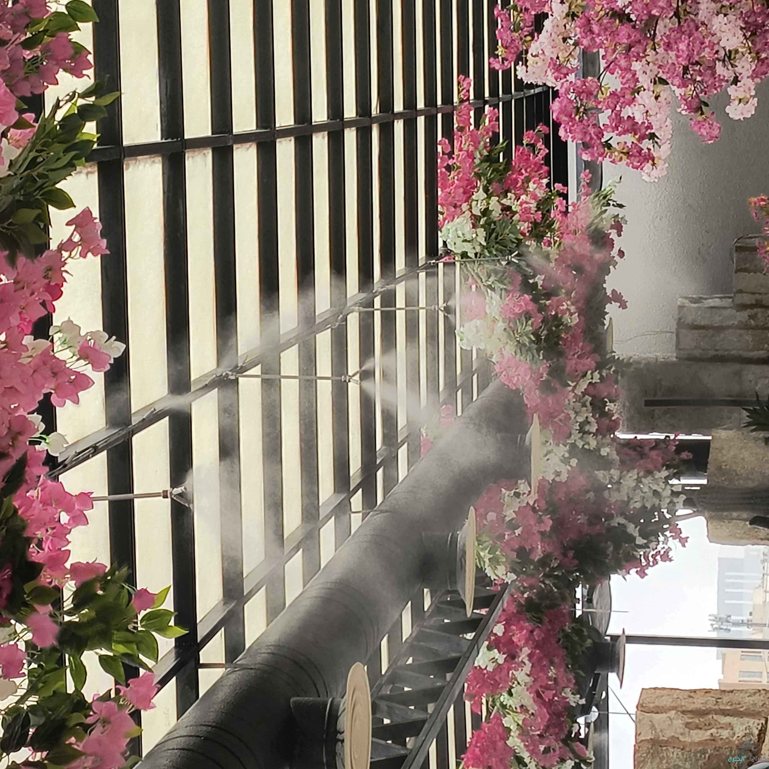 رذاذ وضباب