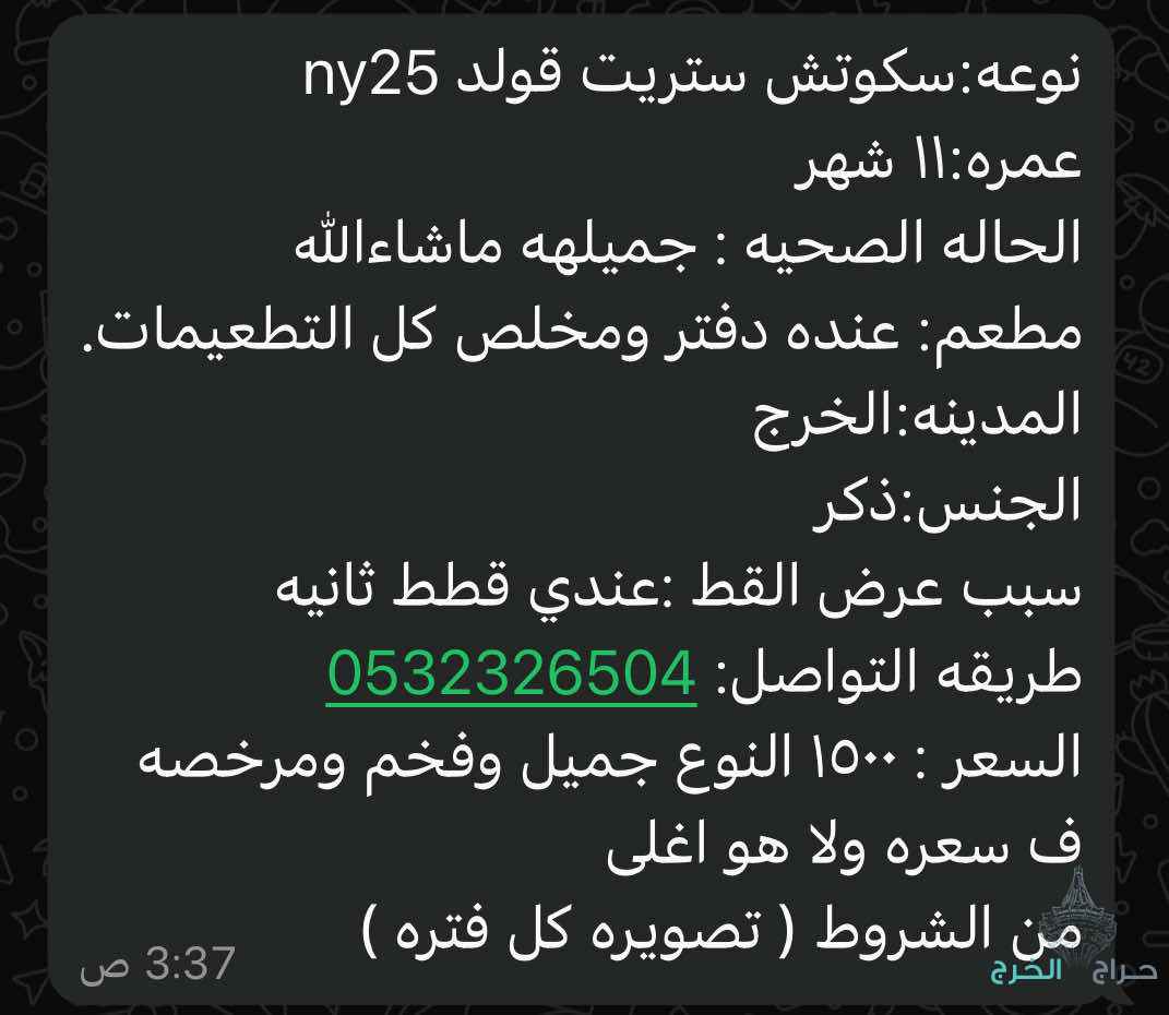 الخرج حي الورود