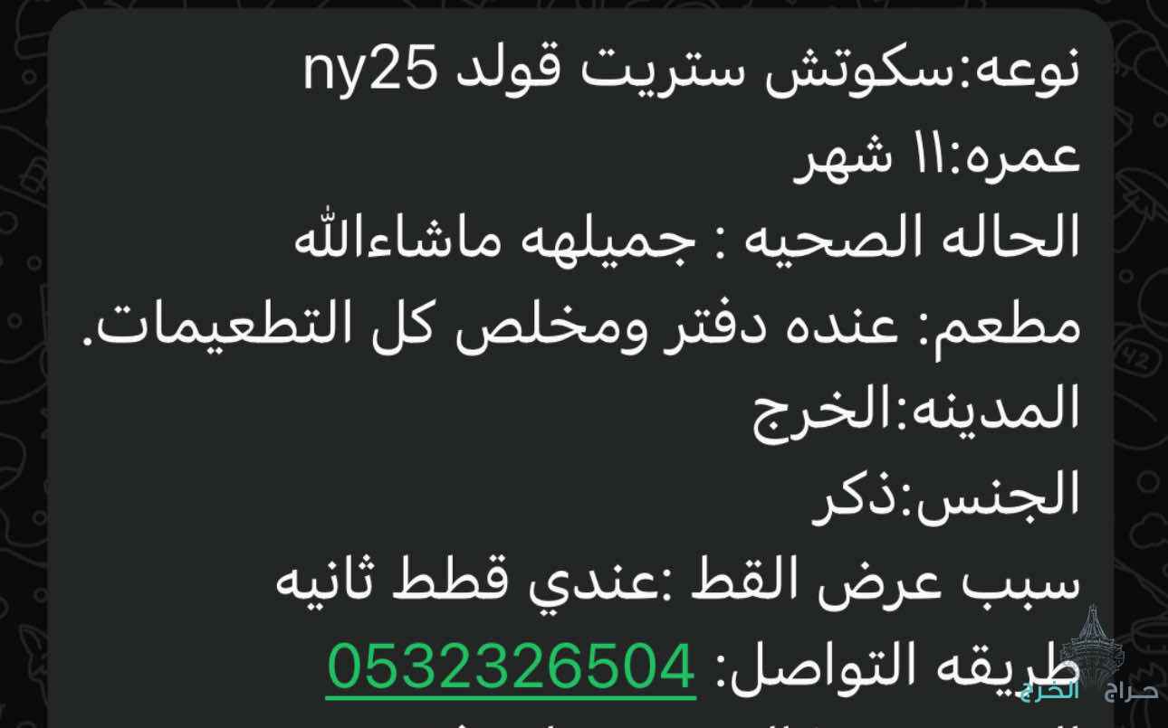 الخرج حي الورود