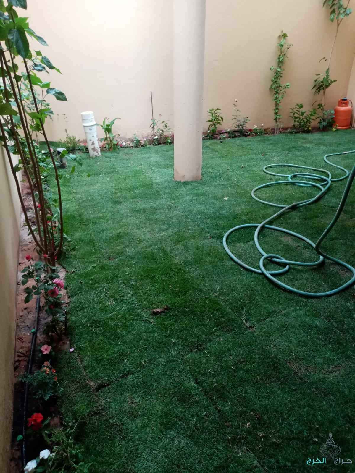 ابومكه الشريف للذراعه