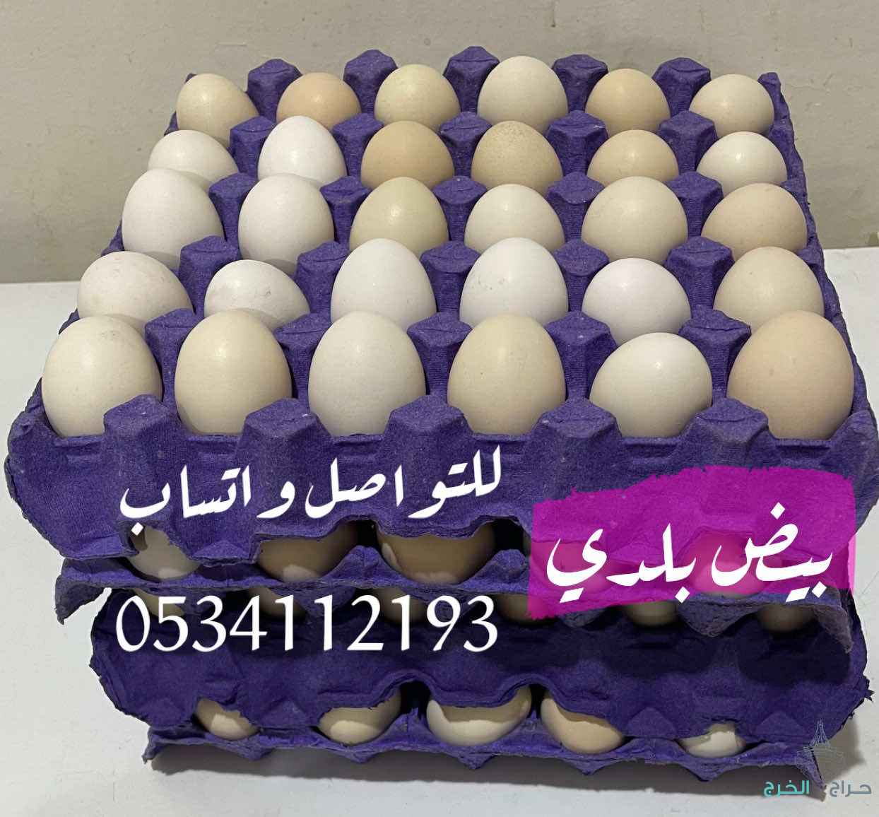 بيض بلدي