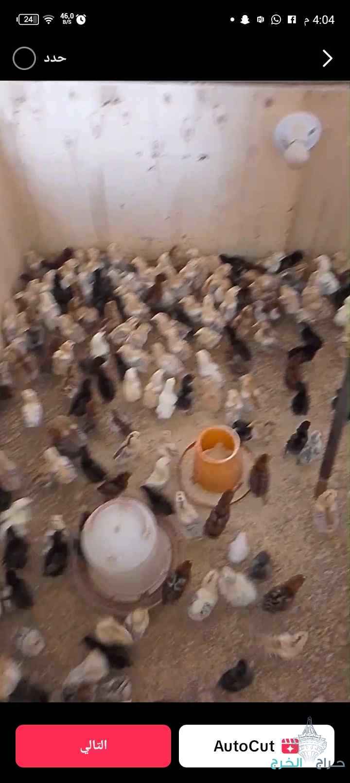 الاسعار بتعجبكم للجاد 