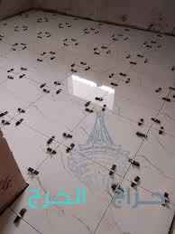 الرياض