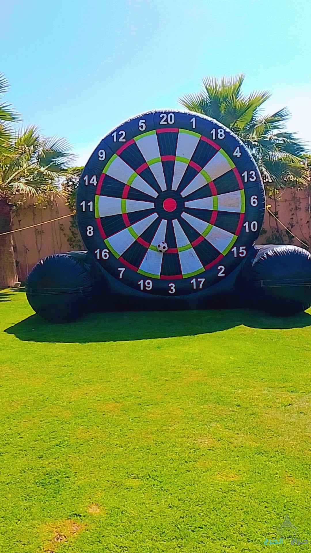 دخل الرياض وخارج الرياض