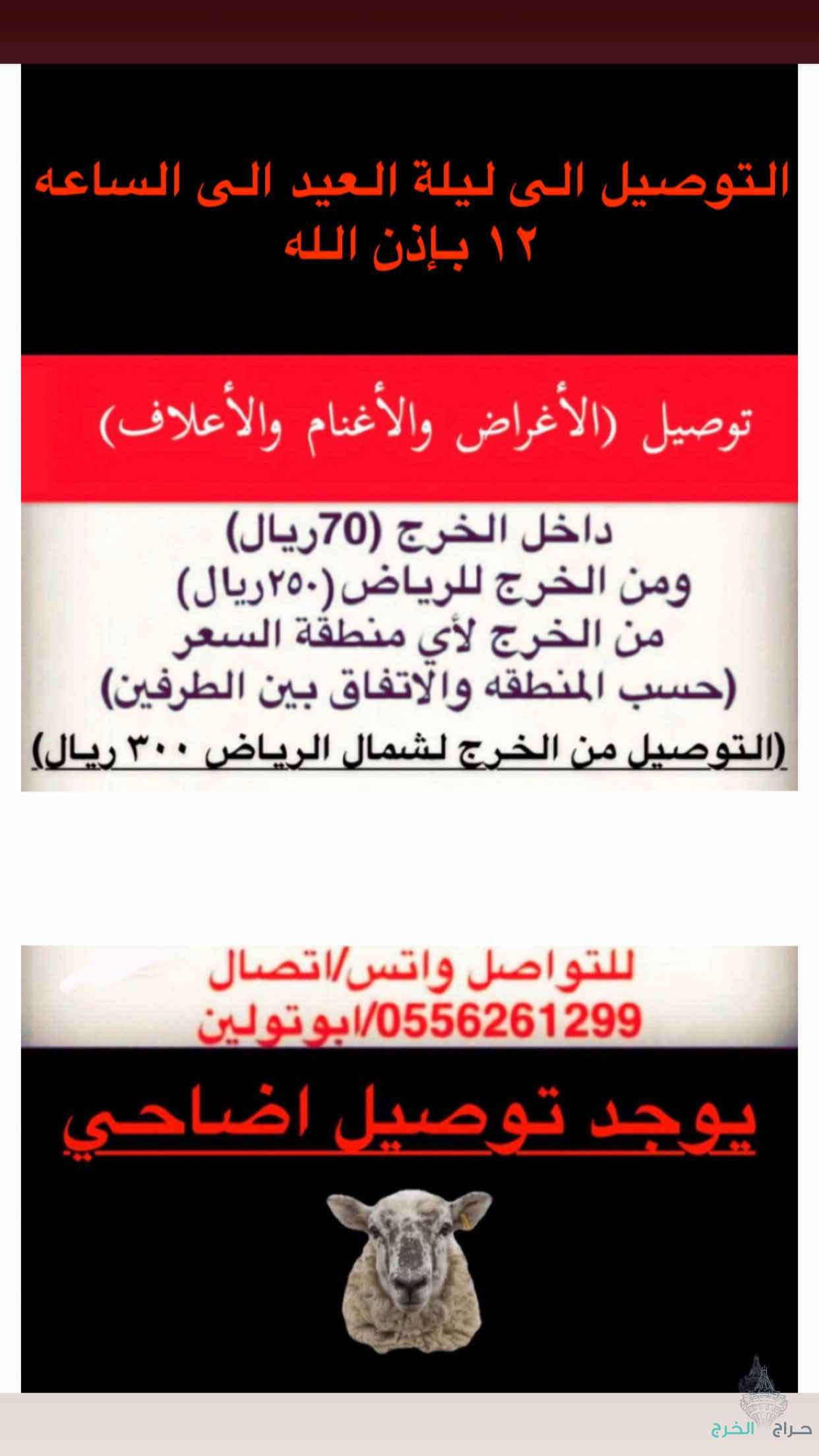 توصيل اضاحي