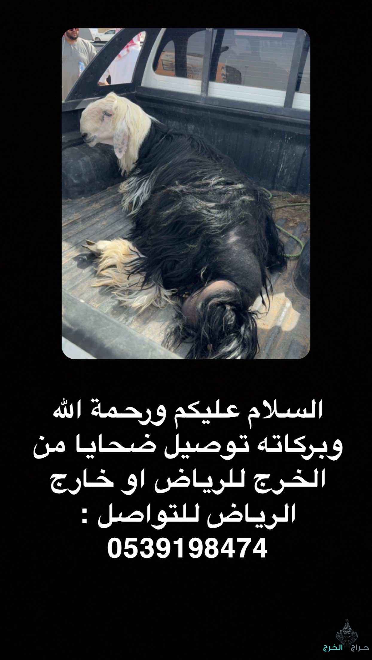 توصيل ضحايا وغيرها من الخرج للرياض