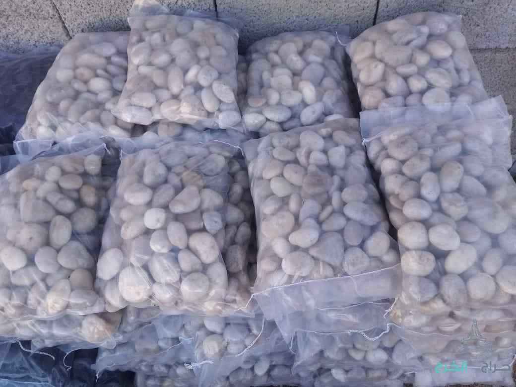 احواد_زرعي وتنسيق الحدائق والديكورات