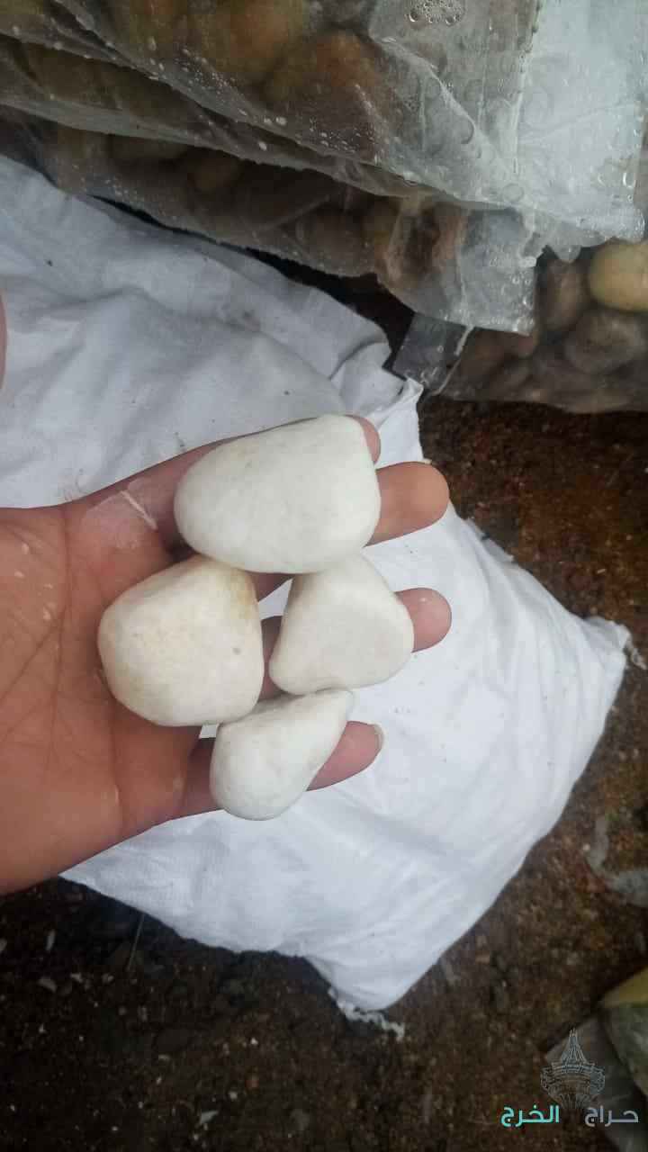 احواد_زرعي وتنسيق الحدائق والديكورات