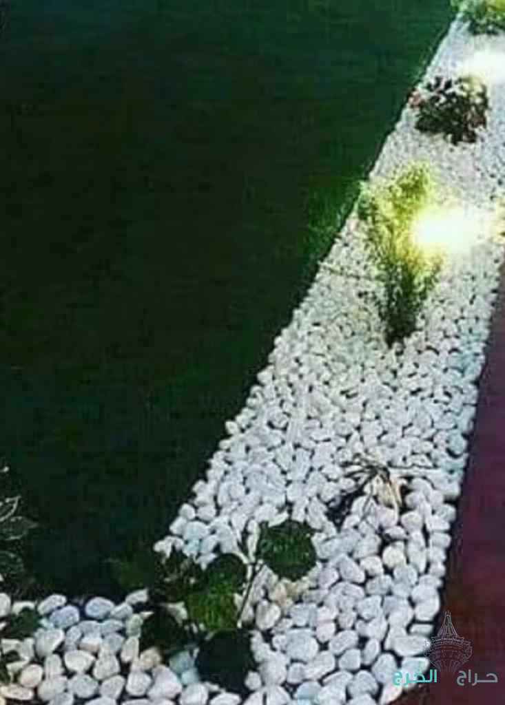 احواد_زرعي وتنسيق الحدائق والديكورات