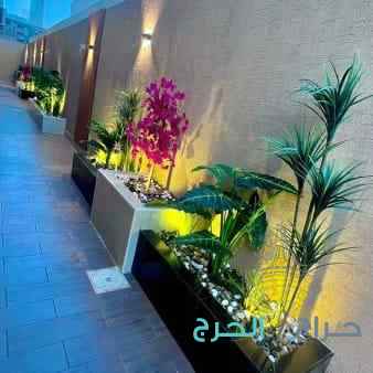 احواد_زرعي وتنسيق الحدائق والديكورات