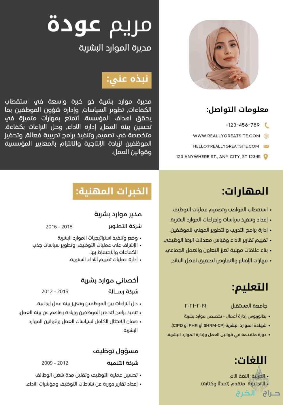 سيرة الذاتيه سيفي CV عرض خاص محدوده لمدة 24 ساعه و ينتهي