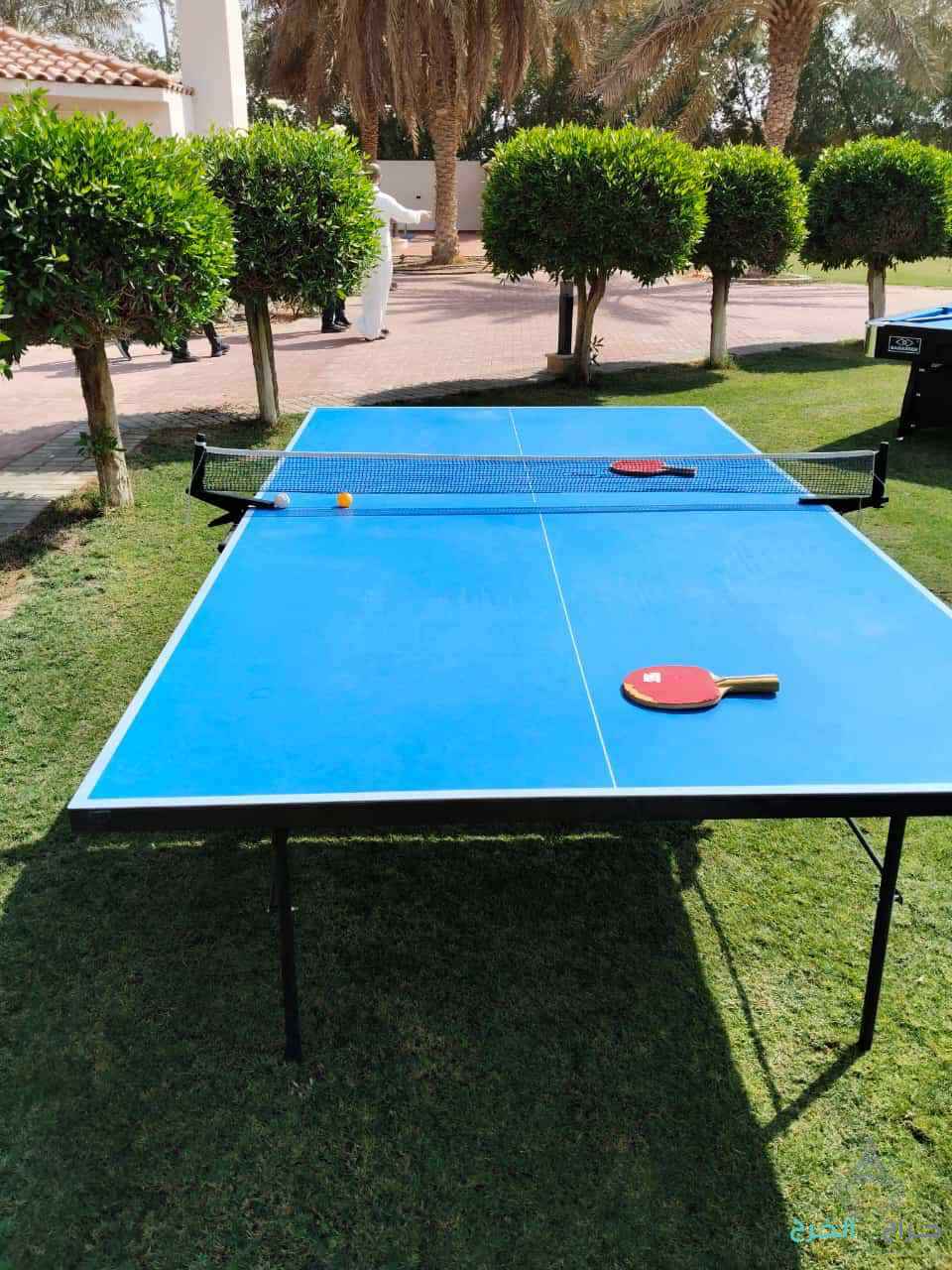 تاجير تنس فرفيره 