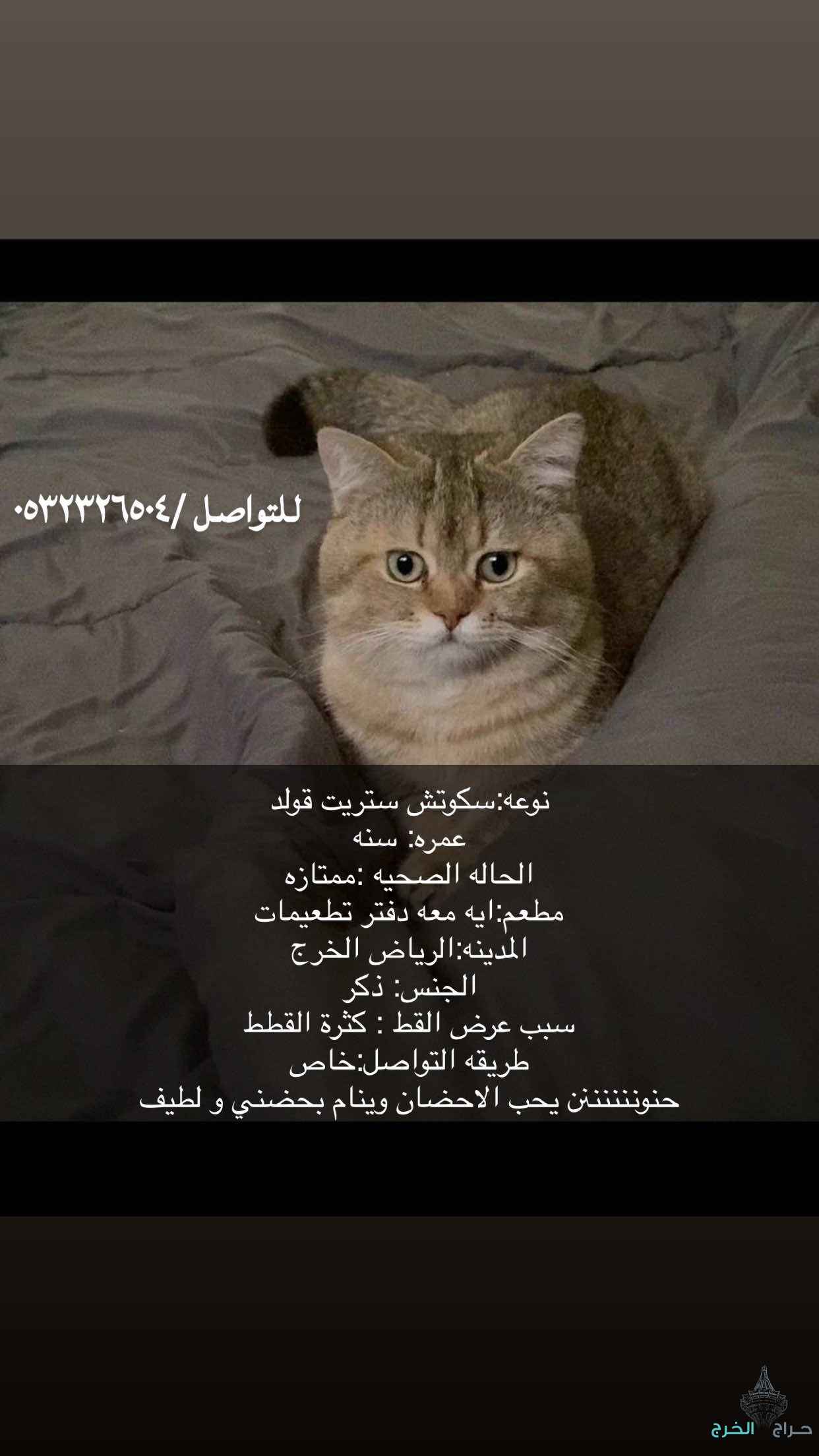 الخرج