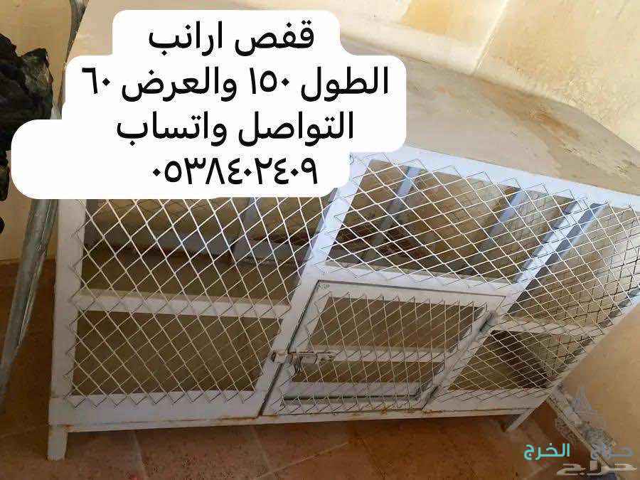 قفص ارنب
