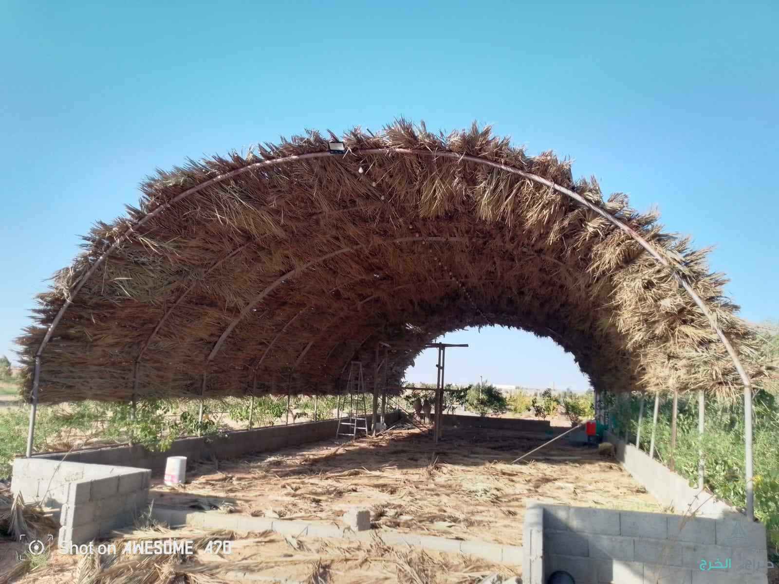 نشتغل جميع انواع الجلسات اترثيه السعف العريش جميع التصميمات