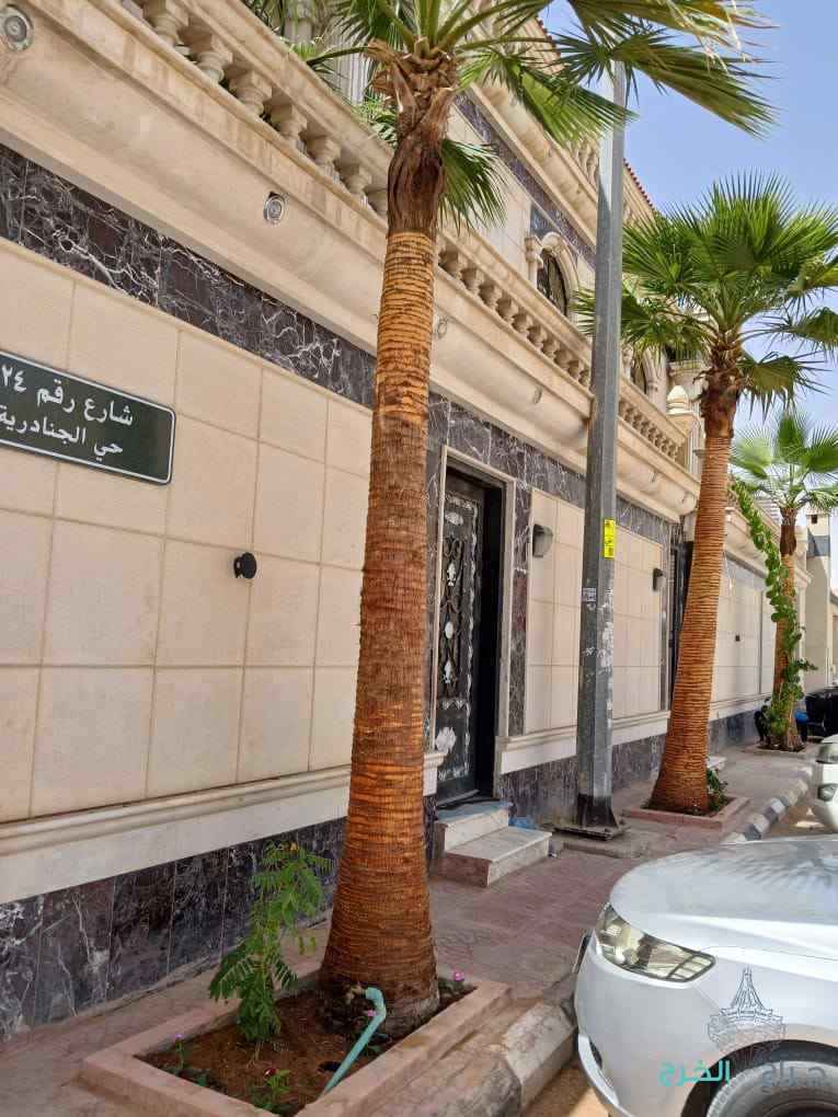 تكريب نخيل قص اشجار  ازالة نخيل زراعة ثيل قص ثيل