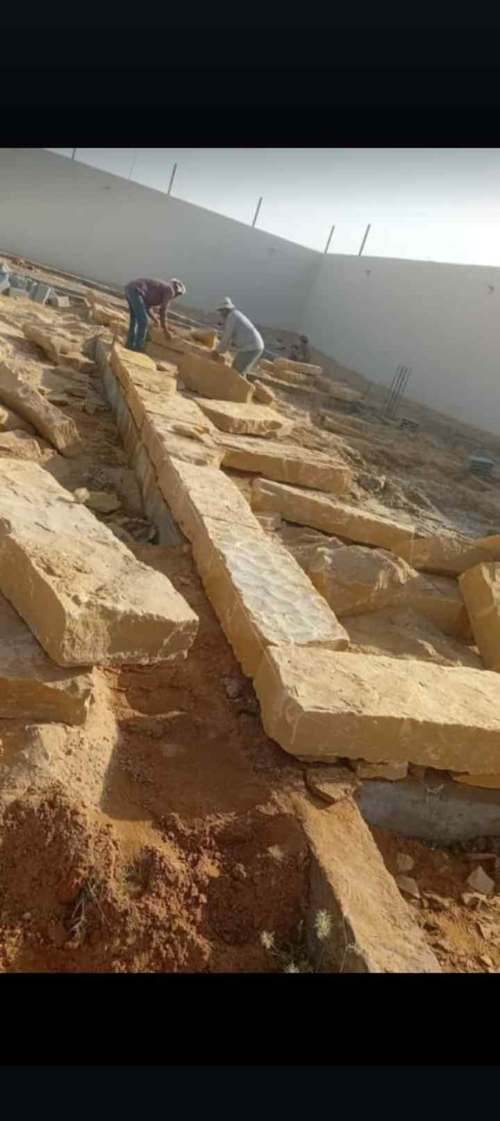 الرياض 