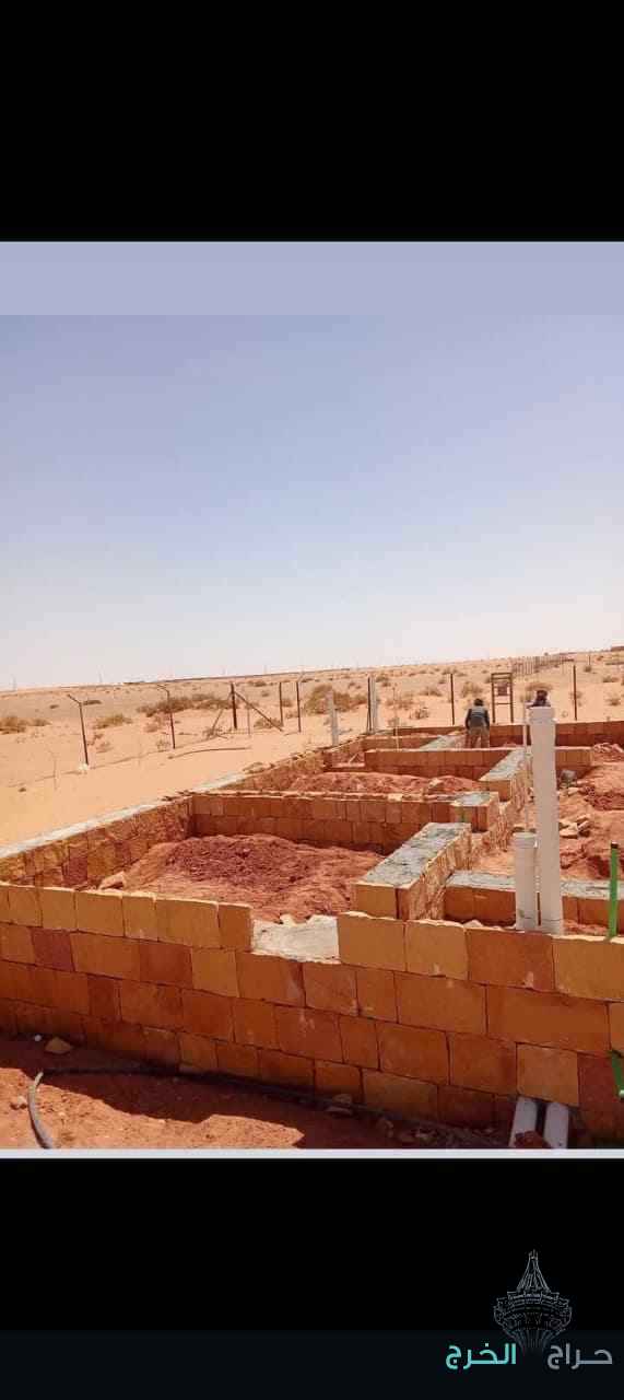 الرياض 