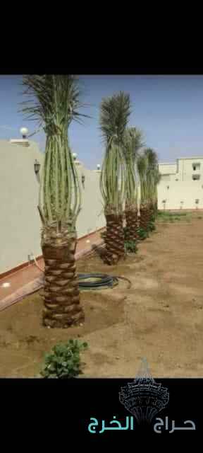 مقاول شبوك 0500141664