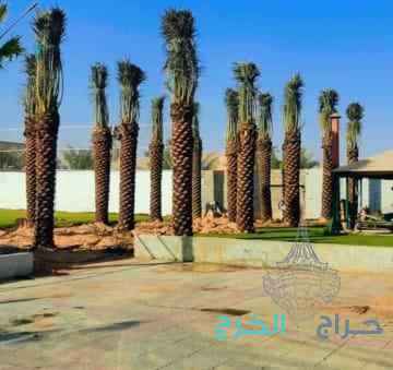 مقاول شبوك 0500141664