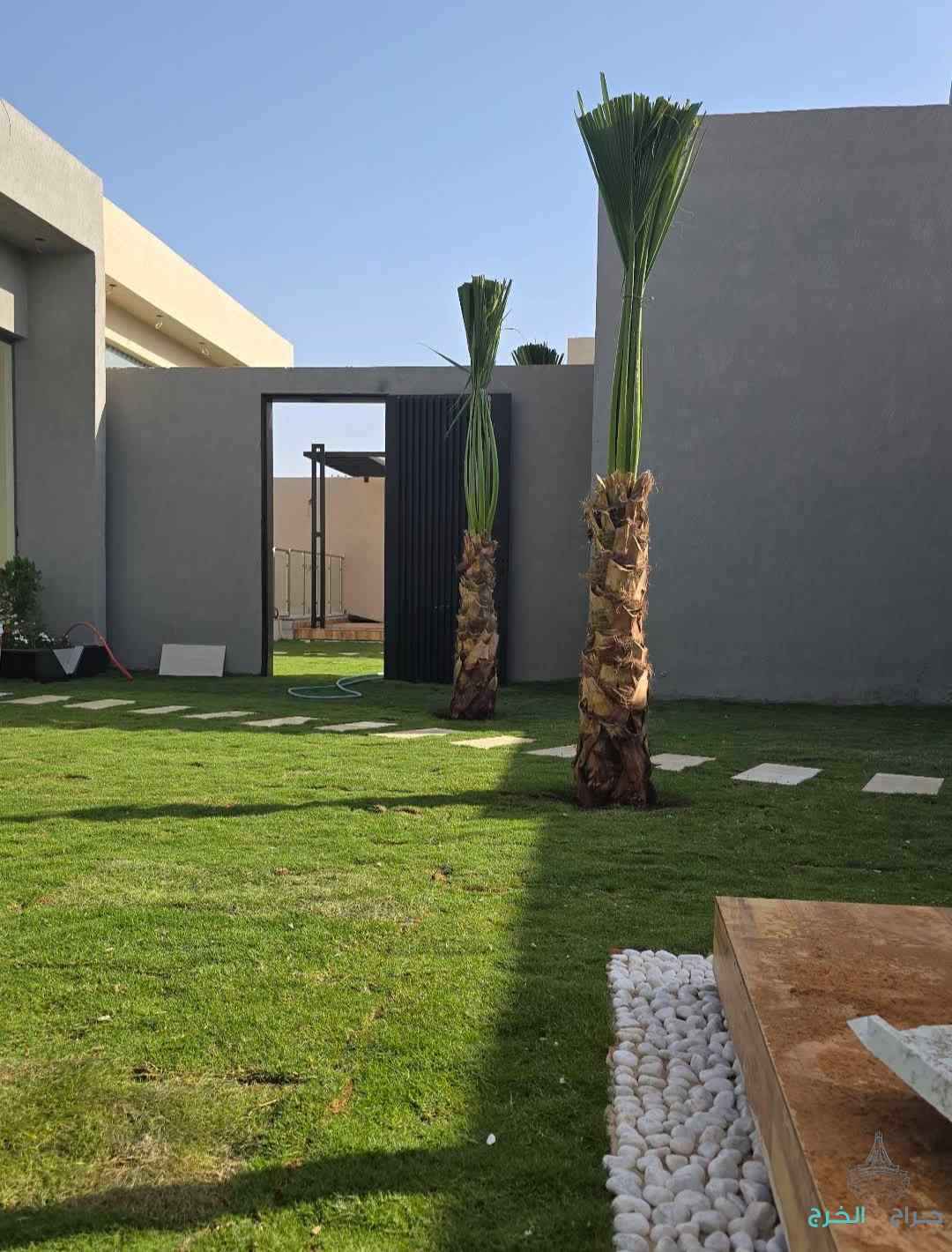 الرياض