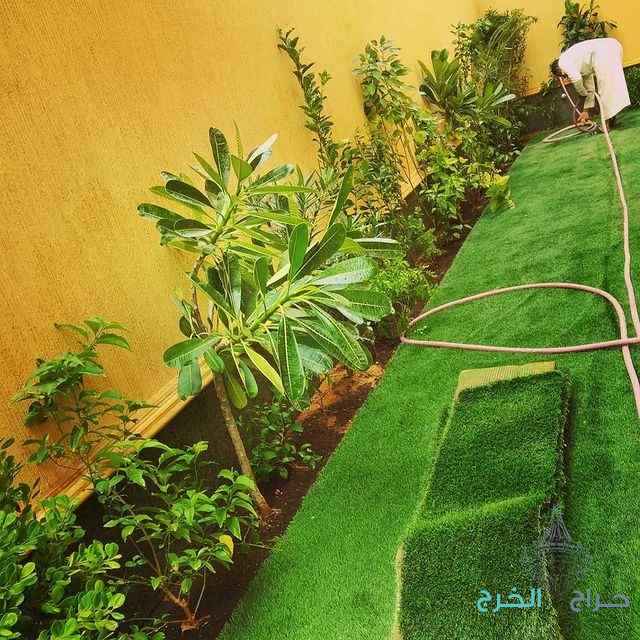 تنسيق حدائق