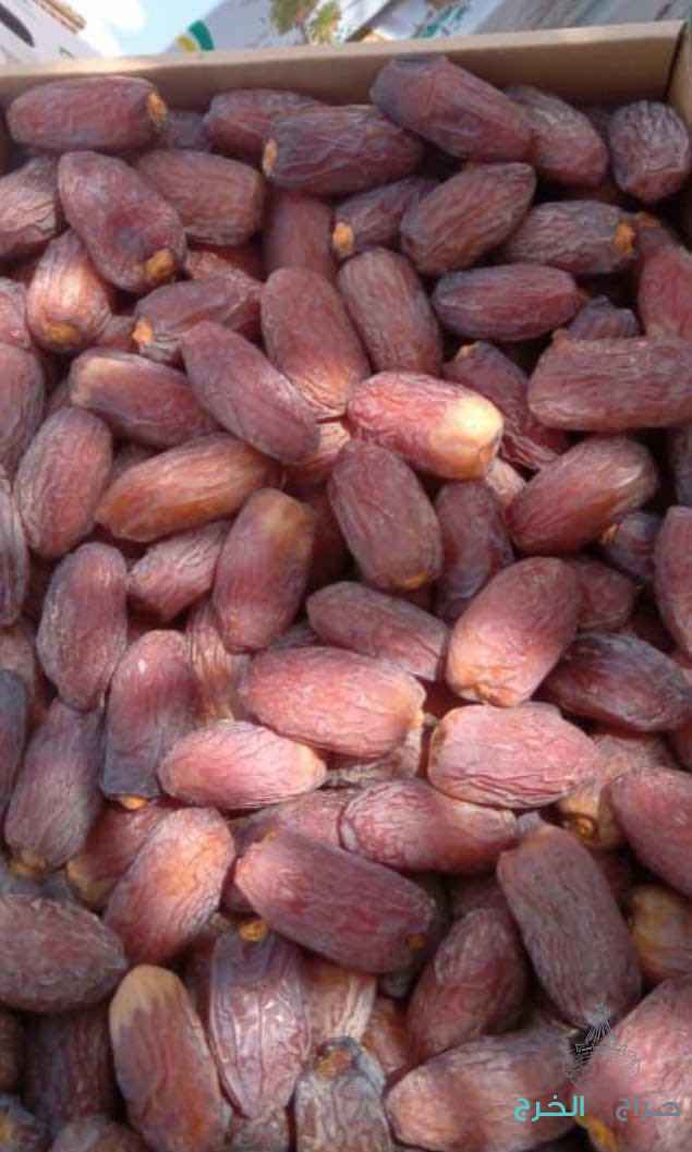 تمر