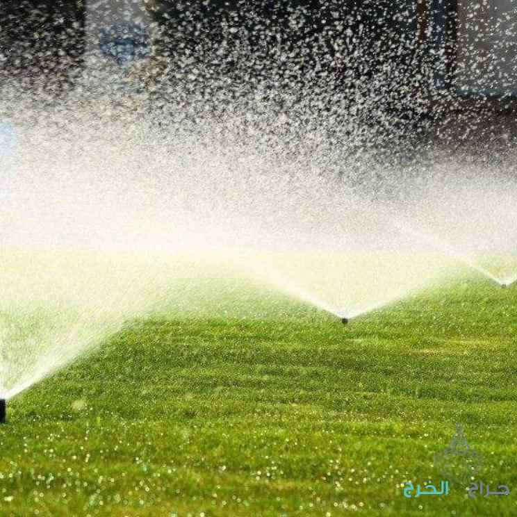افكار تنسيق حدائق منزلية حدائق شمال الرياض تنسيق حدائق غرب الرياض تنسيق حدائق جنوب الرياض تنسيق حدائق الشرق الرياض صيانه الحدائق بالرياض جلسات حدائق رخيصة بالرياض تنسيق حوش البيت صغير تصميم حدائق شمال الرياض تصميم حدائق شرق الرياض جلسات خارجيه رخيصة تصميم