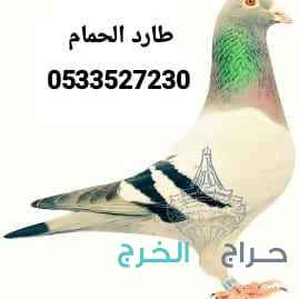 طارد حمام تركيب شبك اشواك مانع الطيور طارد الحمام 