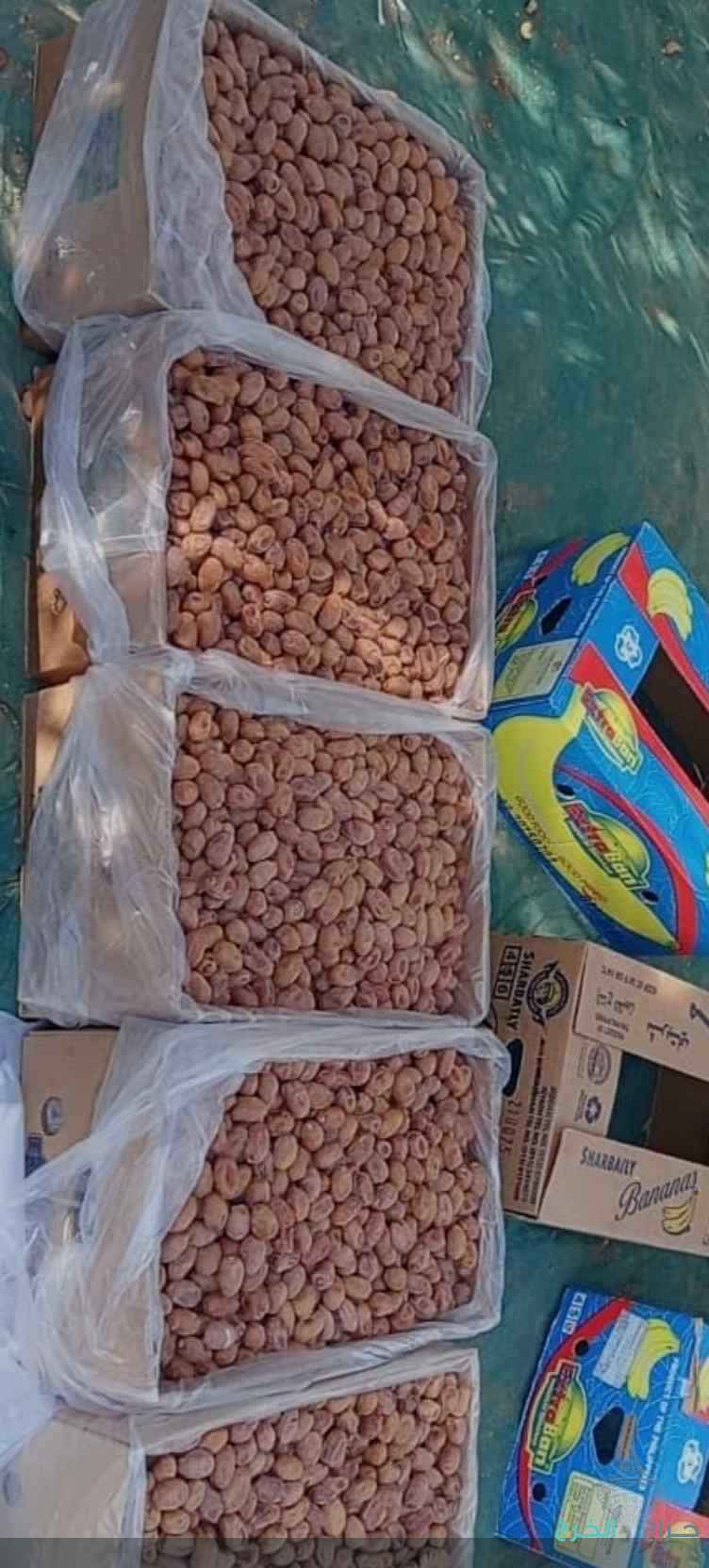 نخيل مثمر للبيع وكما يتوفر لدينا كميات من التمور الفاخره