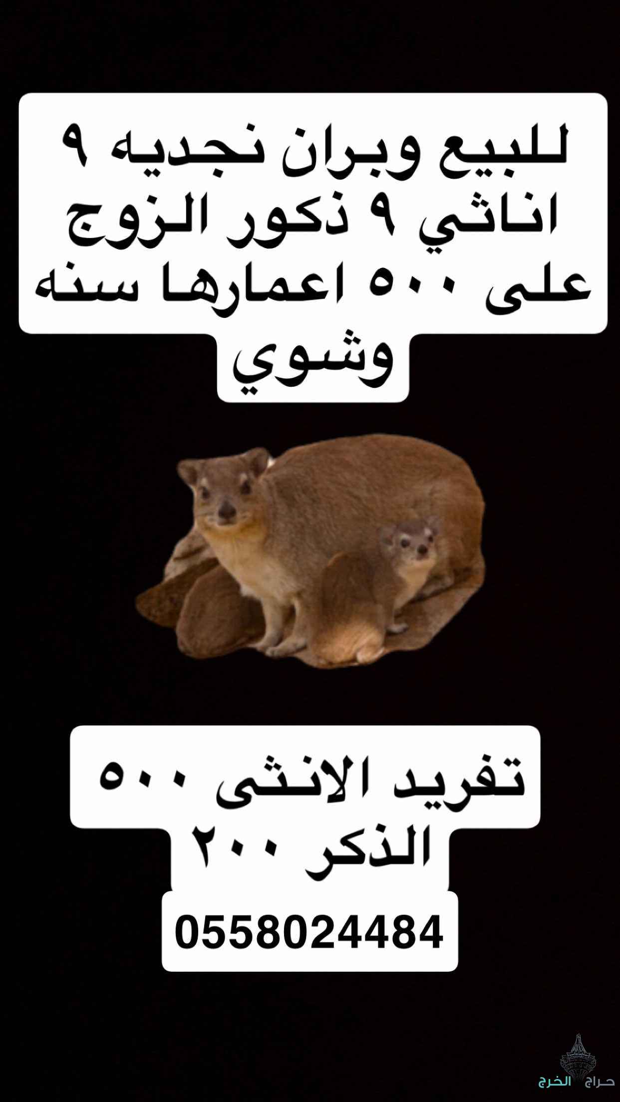 وبران بريه