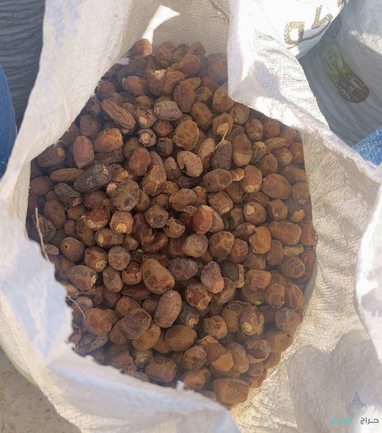 تمر علف للحلال نظيف