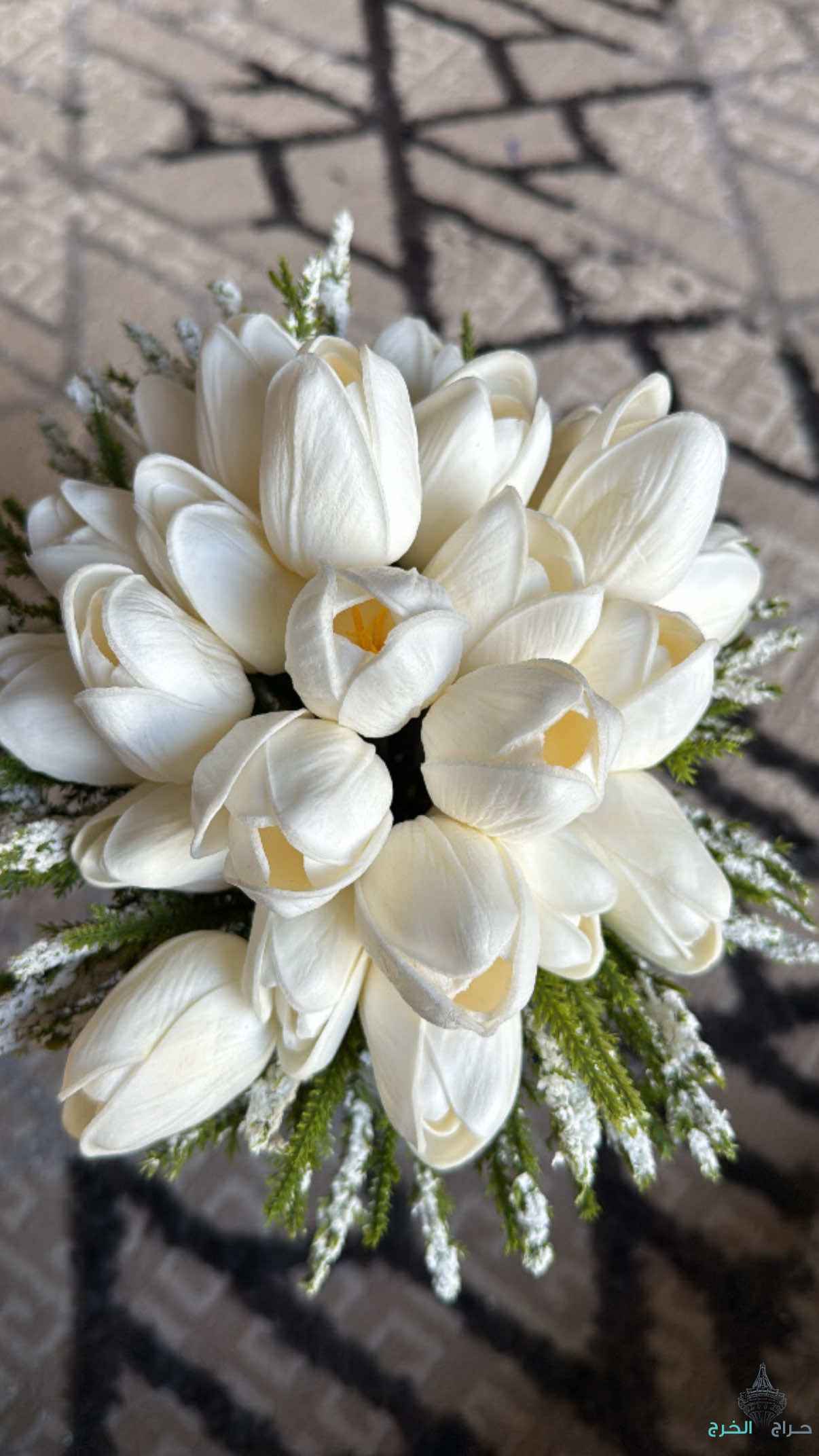 مسكة عروس وكعب