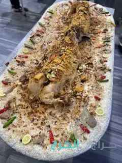 طباخ متنقل ابوعلي