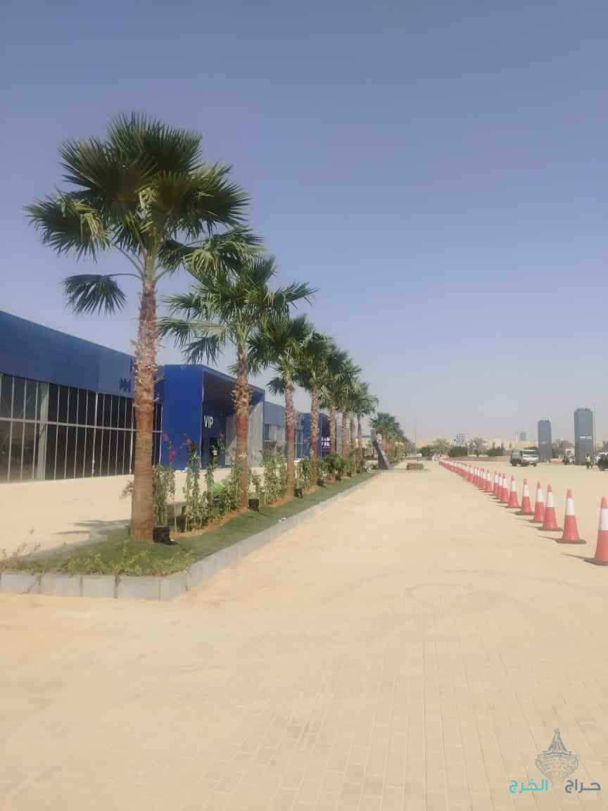 مقولات النخيل العربي وشنطة 