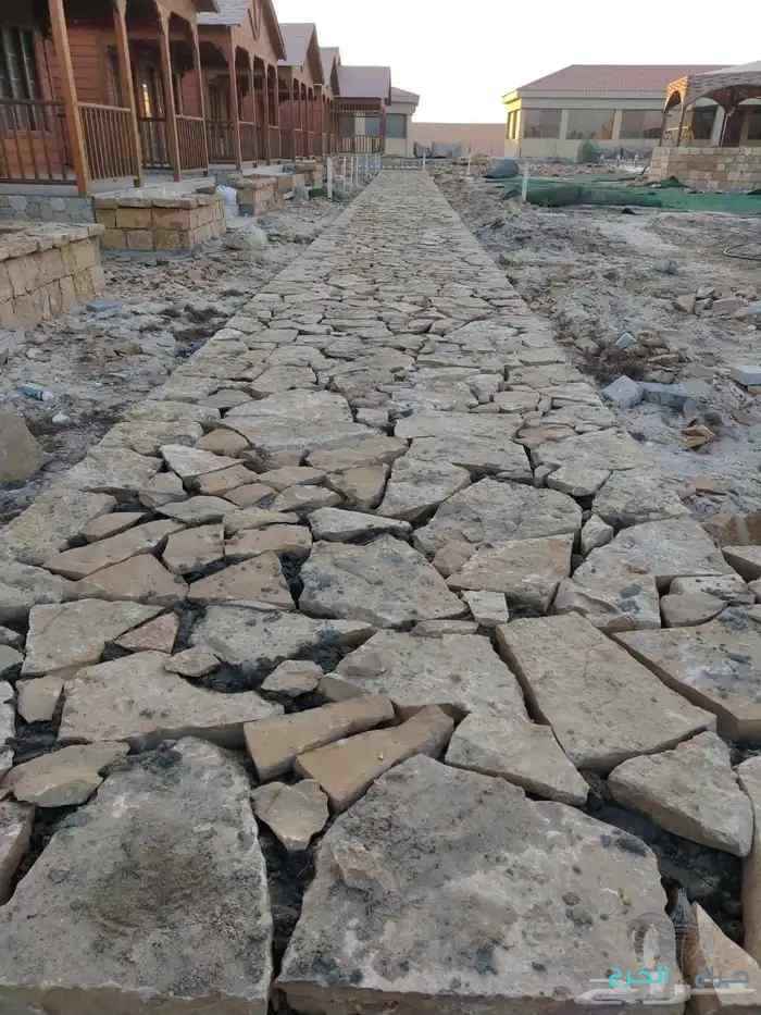 شل تدبيش حجر بجميع انواعه