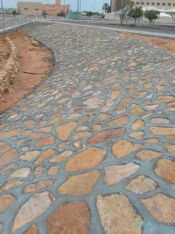 شل تدبيش حجر بجميع انواعه