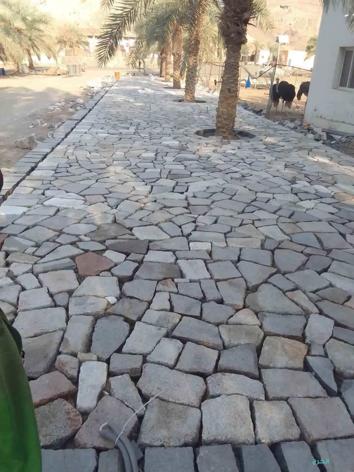 شل تدبيش حجر بجميع انواعه