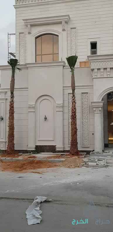 نخل واشنطون زينه