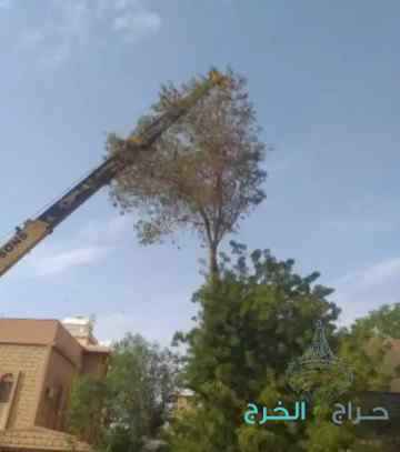 عامل تقطيع الحطب نظافة نخلة