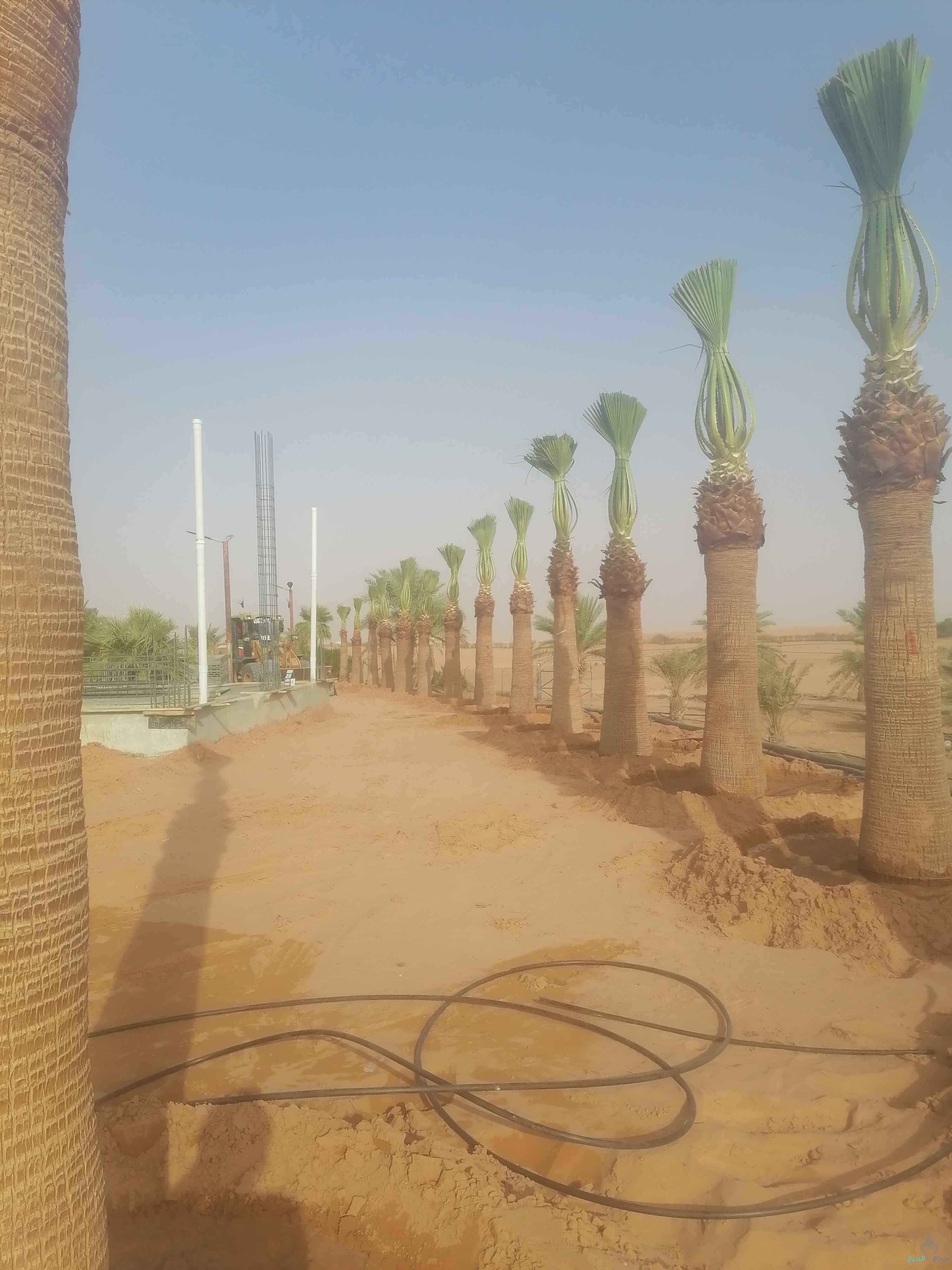 المقالات العامه 